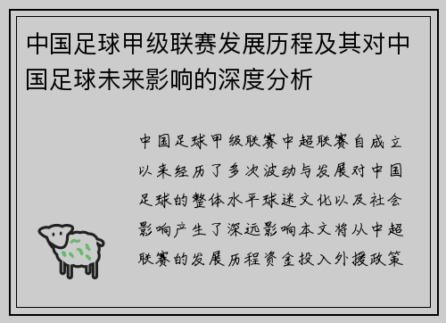 中国足球甲级联赛发展历程及其对中国足球未来影响的深度分析