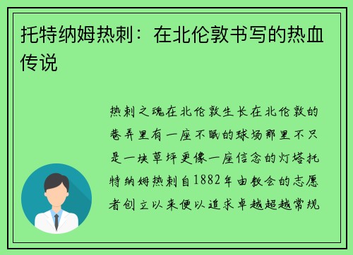 托特纳姆热刺：在北伦敦书写的热血传说