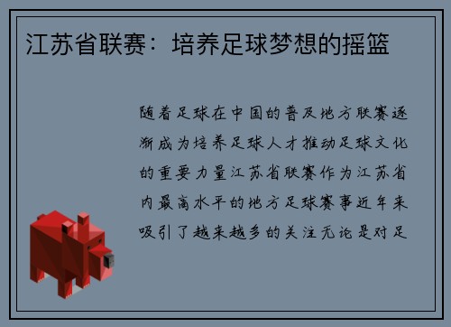 江苏省联赛：培养足球梦想的摇篮