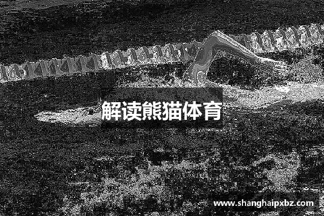 解读熊猫体育